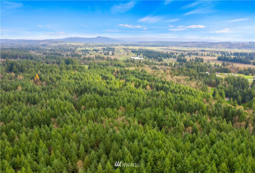 0 Case, Rochester, Washington 98579, ,Land,For Sale,Case,NWM1869777