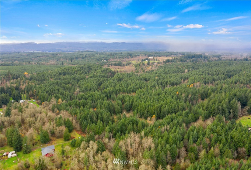 0 Case, Rochester, Washington 98579, ,Land,For Sale,Case,NWM1869775