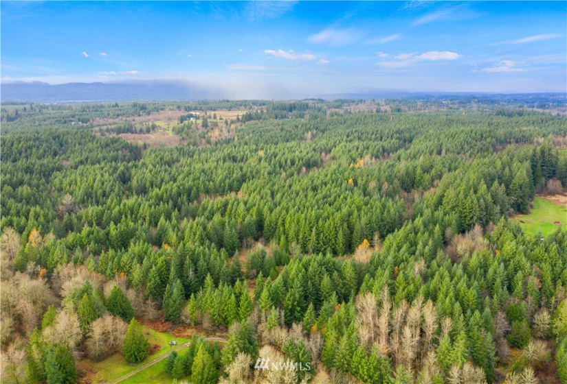 0 Case, Rochester, Washington 98579, ,Land,For Sale,Case,NWM1869775