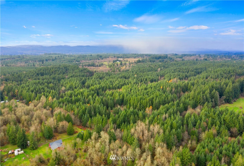 0 Case, Rochester, Washington 98579, ,Land,For Sale,Case,NWM1869775