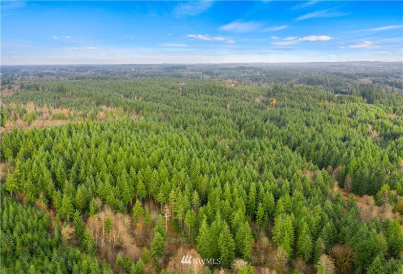 0 Case, Rochester, Washington 98579, ,Land,For Sale,Case,NWM1869775