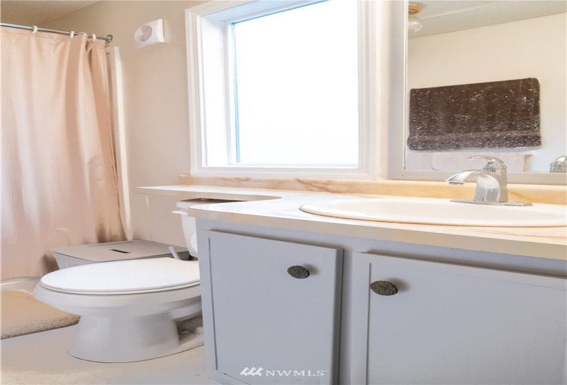 707 37th, Auburn, Washington 98002, 3 Bedrooms Bedrooms, ,2 BathroomsBathrooms,Manufactured In Park,For Sale,37th,NWM1869881