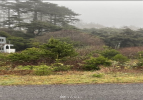 35 Diamond, Pacific Beach, Washington 98571, ,Land,For Sale,Olympus Ocean Estates,Diamond,NWM1869897