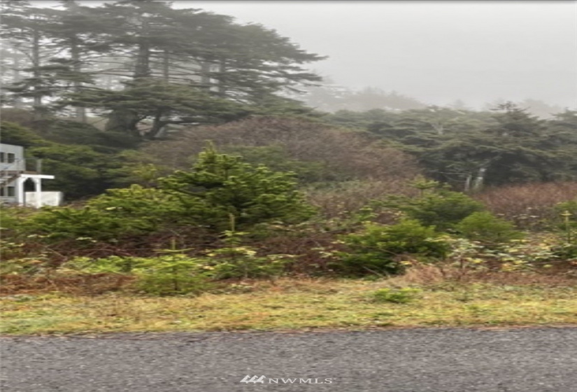35 Diamond, Pacific Beach, Washington 98571, ,Land,For Sale,Olympus Ocean Estates,Diamond,NWM1869897