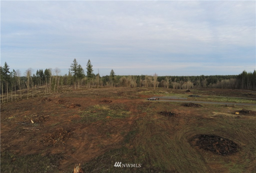 0 Haywire, Winlock, Washington 98596, ,Land,For Sale,Haywire,NWM1869756