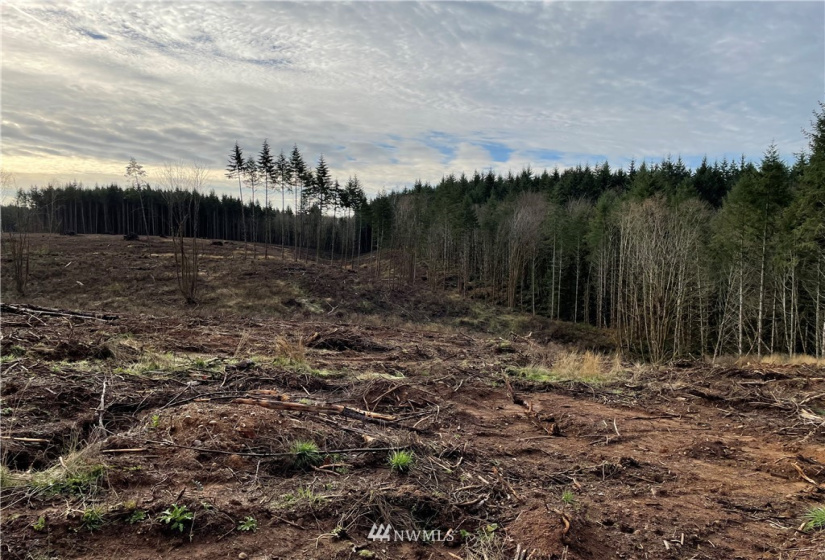 0 Haywire, Winlock, Washington 98596, ,Land,For Sale,Haywire,NWM1869756