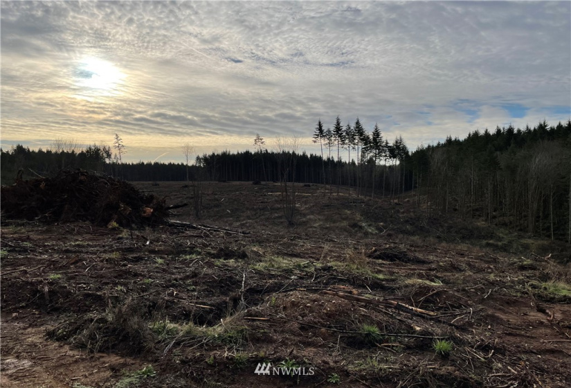 0 Haywire, Winlock, Washington 98596, ,Land,For Sale,Haywire,NWM1869756