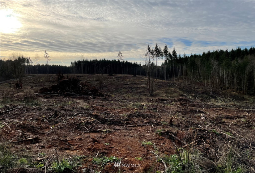 0 Haywire, Winlock, Washington 98596, ,Land,For Sale,Haywire,NWM1869756
