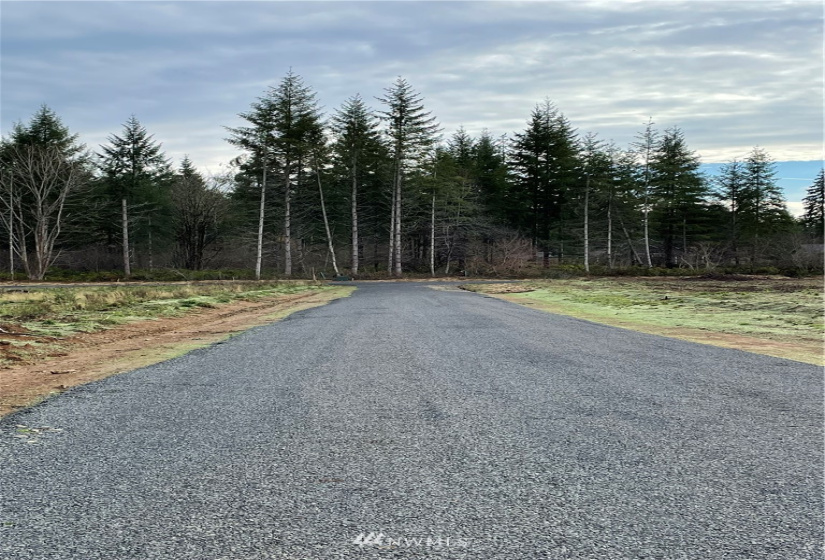 0 Haywire, Winlock, Washington 98596, ,Land,For Sale,Haywire,NWM1869756