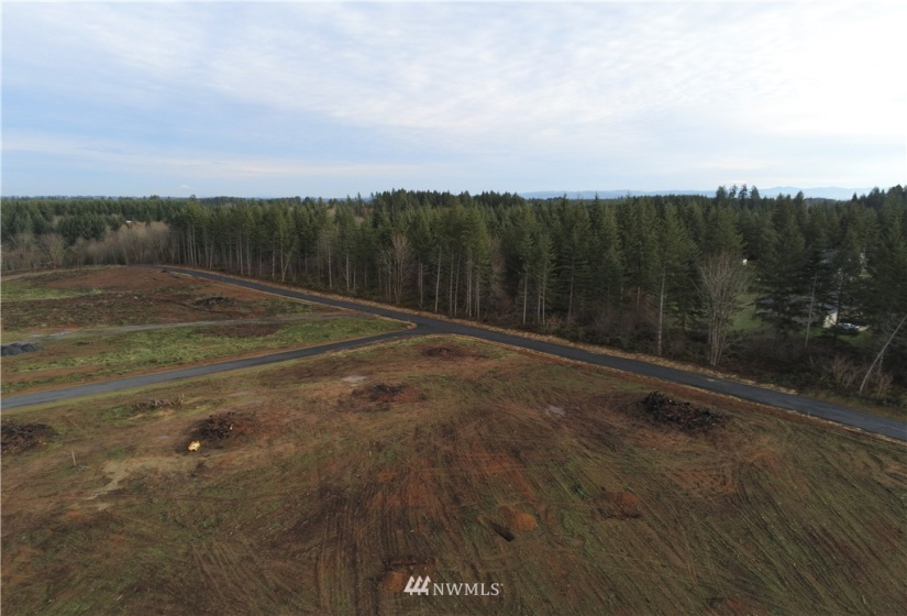 0 Haywire, Winlock, Washington 98596, ,Land,For Sale,Haywire,NWM1869756