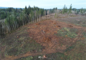 0 Haywire, Winlock, Washington 98596, ,Land,For Sale,Haywire,NWM1869756