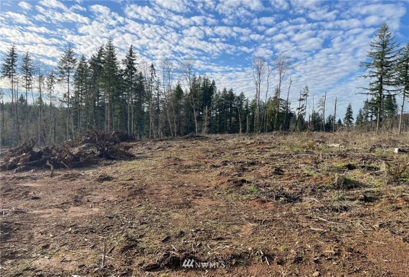 0 Haywire, Winlock, Washington 98596, ,Land,For Sale,Haywire,NWM1869756