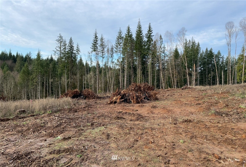 0 Haywire, Winlock, Washington 98596, ,Land,For Sale,Haywire,NWM1869756