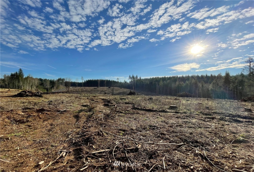 0 Haywire, Winlock, Washington 98596, ,Land,For Sale,Haywire,NWM1869756