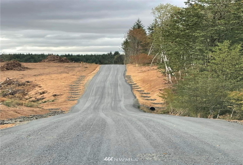 0 Haywire, Winlock, Washington 98596, ,Land,For Sale,Haywire,NWM1869756