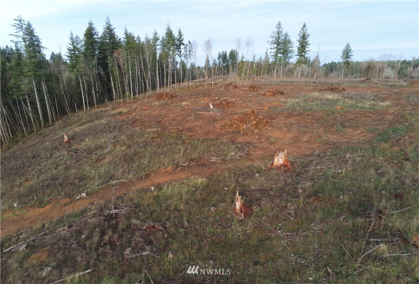 0 Haywire, Winlock, Washington 98596, ,Land,For Sale,Haywire,NWM1869756