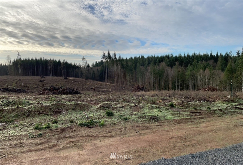 0 Haywire, Winlock, Washington 98596, ,Land,For Sale,Haywire,NWM1869756