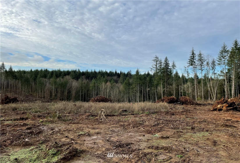 0 Haywire, Winlock, Washington 98596, ,Land,For Sale,Haywire,NWM1869756