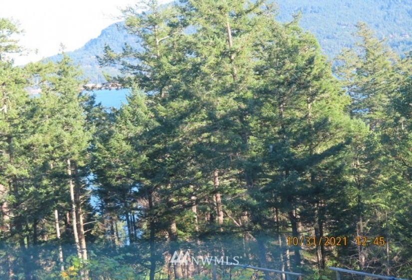 16 Village View, Orcas Island, Washington 98245, 4 Bedrooms Bedrooms, ,4 BathroomsBathrooms,Residential,For Sale,Village View,NWM1859832