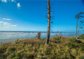 0 Chauncey, Pacific Beach, Washington 98571, ,Land,For Sale,Roosevelt Ridge Estates,Chauncey,NWM1870015