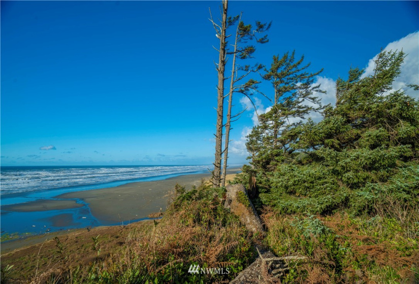 0 Chauncey, Pacific Beach, Washington 98571, ,Land,For Sale,Roosevelt Ridge Estates,Chauncey,NWM1870015