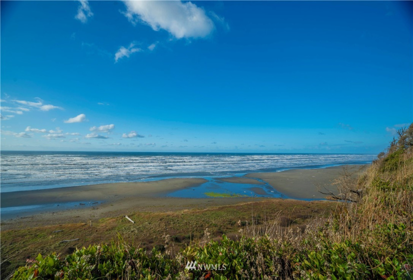 0 Chauncey, Pacific Beach, Washington 98571, ,Land,For Sale,Roosevelt Ridge Estates,Chauncey,NWM1870015
