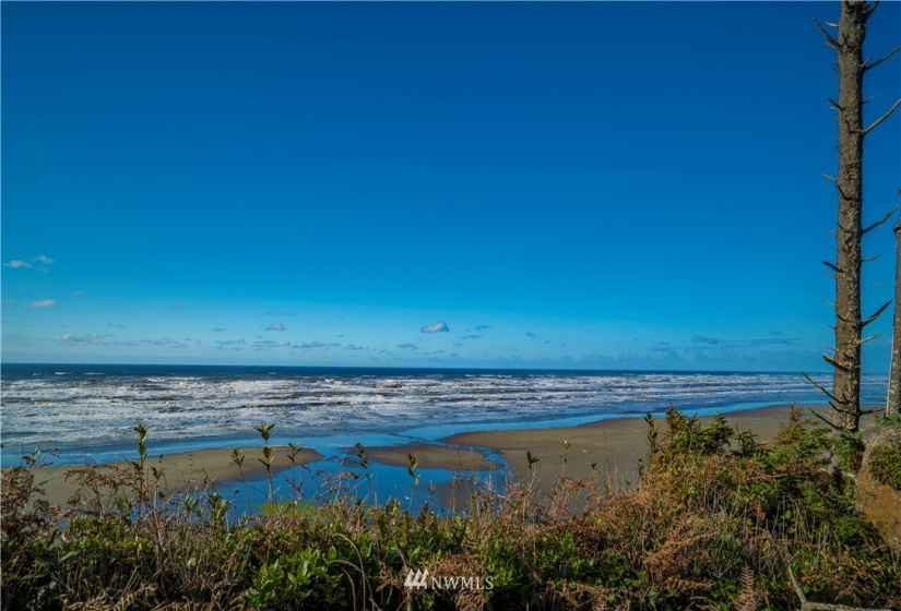 0 Chauncey, Pacific Beach, Washington 98571, ,Land,For Sale,Roosevelt Ridge Estates,Chauncey,NWM1870015