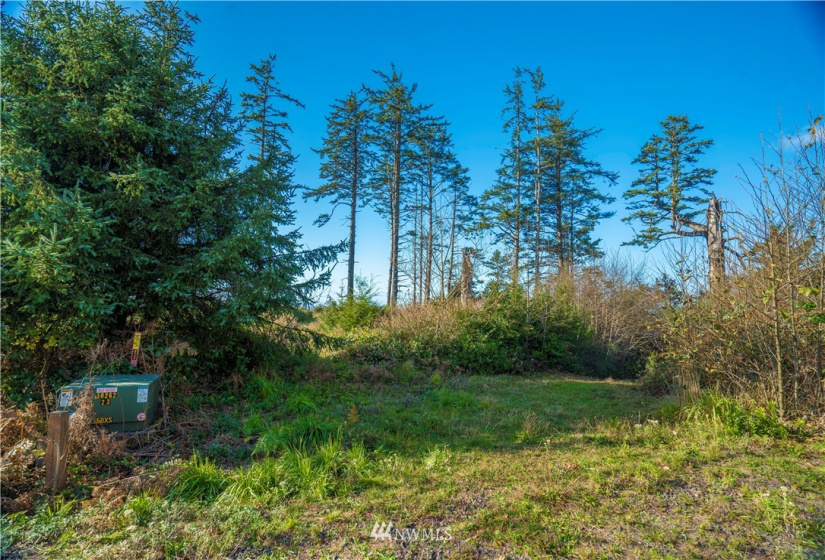 0 Chauncey, Pacific Beach, Washington 98571, ,Land,For Sale,Roosevelt Ridge Estates,Chauncey,NWM1870015