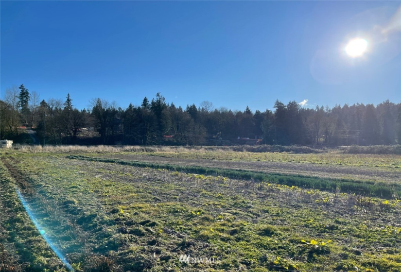 8427 Lowell-Larimer, Snohomish, Washington 98296, ,Land,For Sale,Lowell-Larimer,NWM1870014