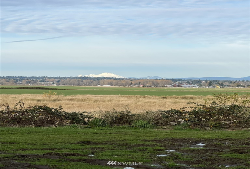 8427 Lowell-Larimer, Snohomish, Washington 98296, ,Land,For Sale,Lowell-Larimer,NWM1870014