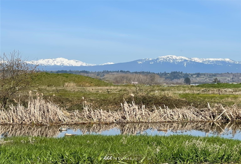 8427 Lowell-Larimer, Snohomish, Washington 98296, ,Land,For Sale,Lowell-Larimer,NWM1870014