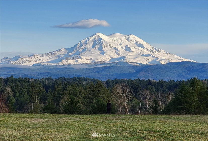36301 50th, Eatonville, Washington 98328, 4 Bedrooms Bedrooms, ,2 BathroomsBathrooms,Residential,For Sale,50th,NWM1868486