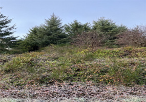 78 Ocean, Ocean Shores, Washington 98569, ,Land,For Sale,Pacific Winds,Ocean,NWM1869911