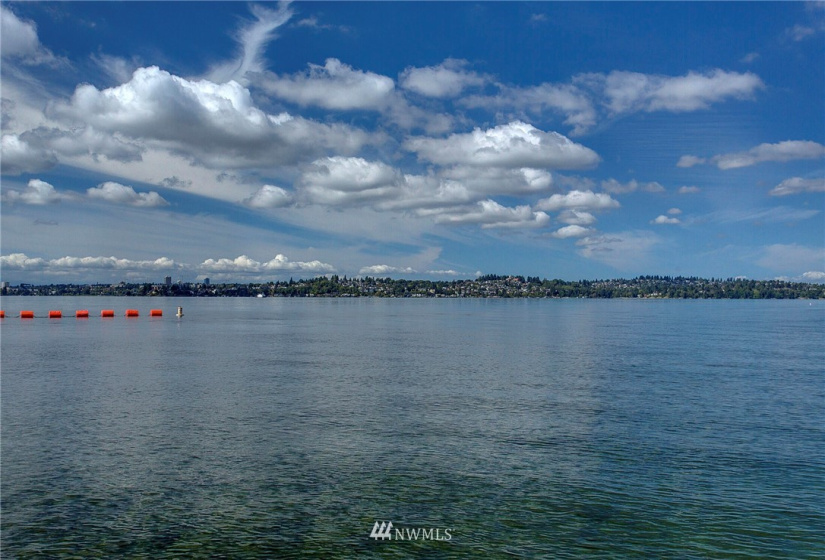 3217 Evergreen Point Road, Medina, Washington 98039, ,Land,For Sale,Evergreen Point Road,NWM1869824