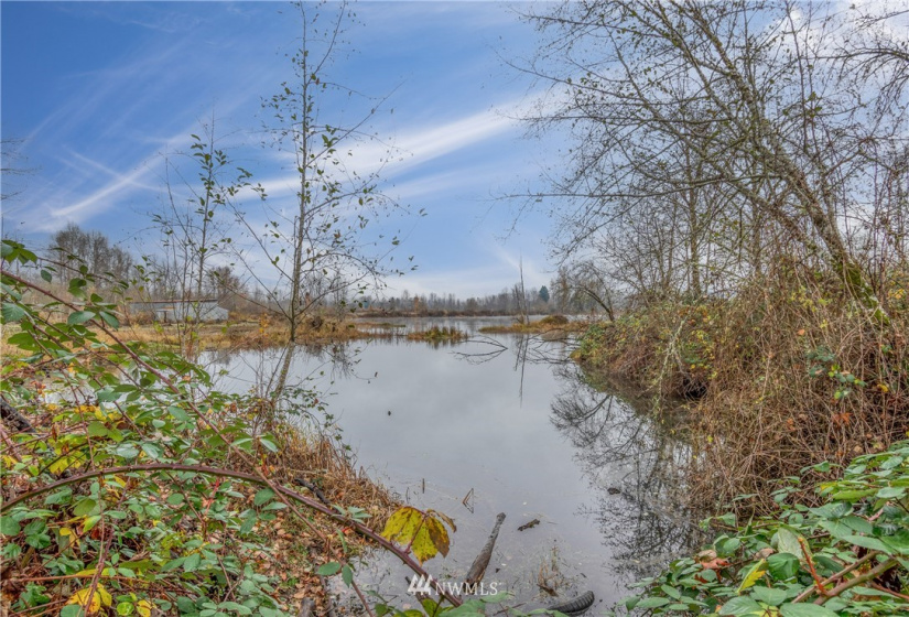 0 State Route 505, Toledo, Washington 98591, ,Land,For Sale,State Route 505,NWM1869914
