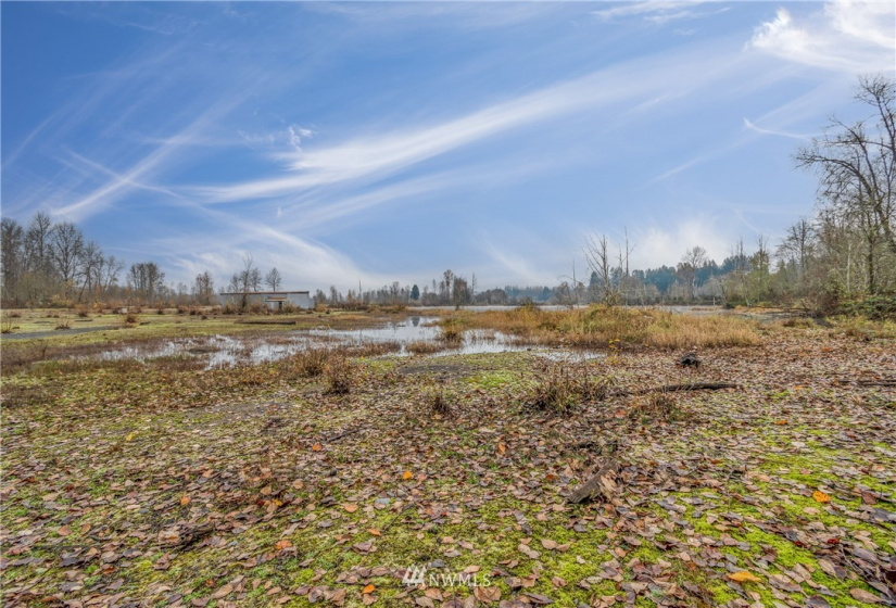 0 State Route 505, Toledo, Washington 98591, ,Land,For Sale,State Route 505,NWM1869914