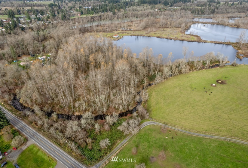 0 State Route 505, Toledo, Washington 98591, ,Land,For Sale,State Route 505,NWM1869914