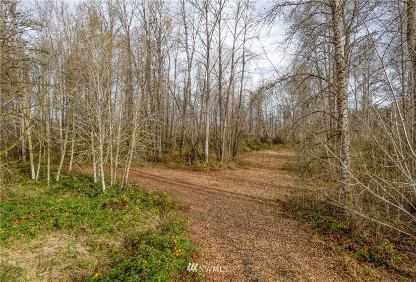 0 State Route 505, Toledo, Washington 98591, ,Land,For Sale,State Route 505,NWM1869914