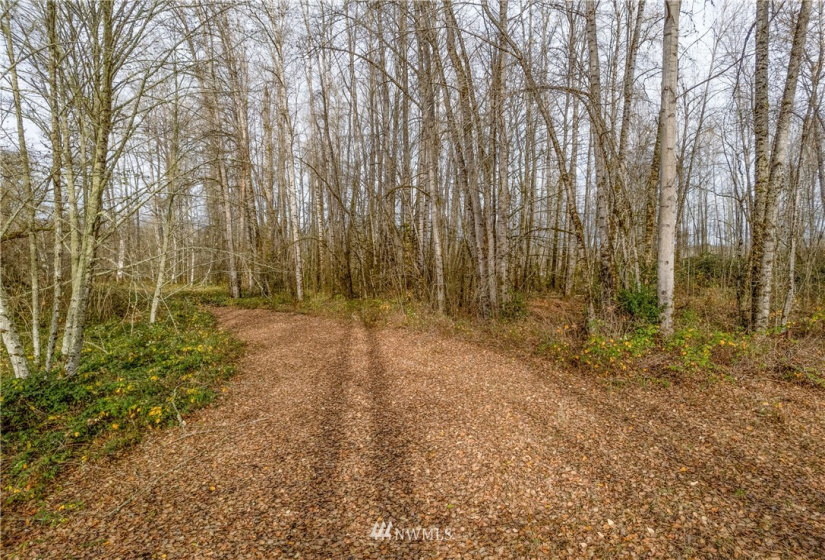 0 State Route 505, Toledo, Washington 98591, ,Land,For Sale,State Route 505,NWM1869914