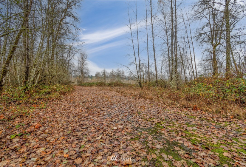 0 State Route 505, Toledo, Washington 98591, ,Land,For Sale,State Route 505,NWM1869914