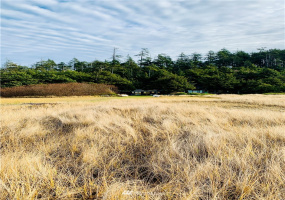 2 Cedar, Pacific Beach, Washington 98571, 3 Bedrooms Bedrooms, ,2 BathroomsBathrooms,Residential,For Sale,Cedar,NWM1869882