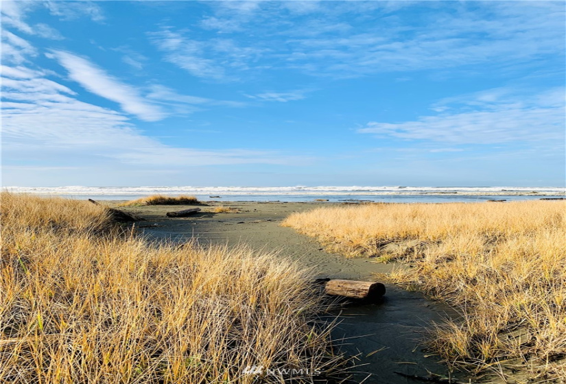 2 Cedar, Pacific Beach, Washington 98571, 3 Bedrooms Bedrooms, ,2 BathroomsBathrooms,Residential,For Sale,Cedar,NWM1869882