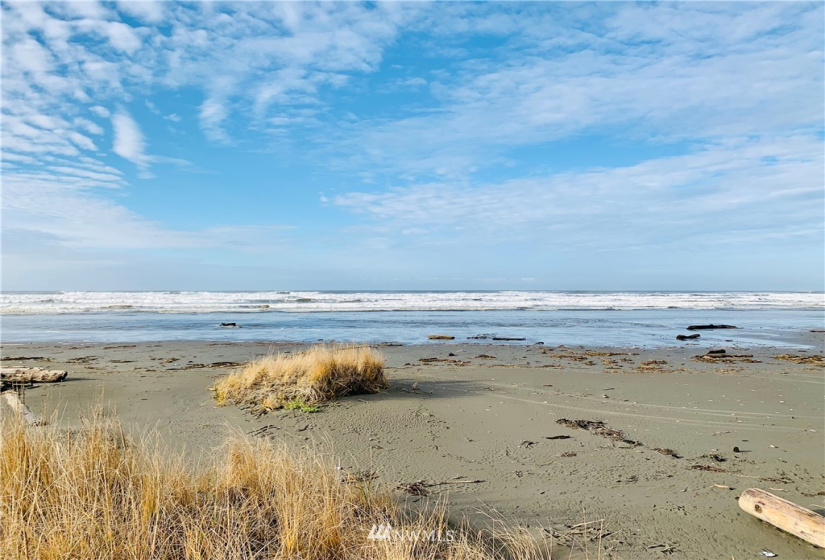 2 Cedar, Pacific Beach, Washington 98571, 3 Bedrooms Bedrooms, ,2 BathroomsBathrooms,Residential,For Sale,Cedar,NWM1869882