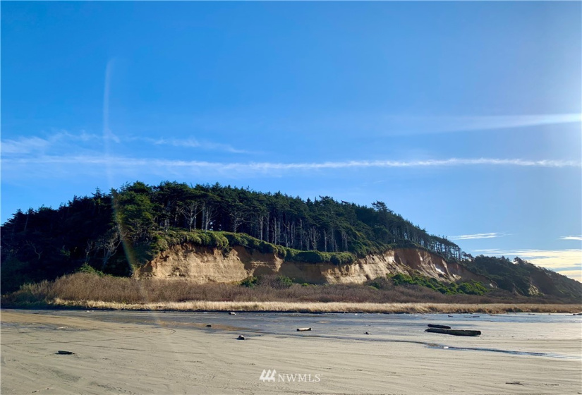 2 Cedar, Pacific Beach, Washington 98571, 3 Bedrooms Bedrooms, ,2 BathroomsBathrooms,Residential,For Sale,Cedar,NWM1869882