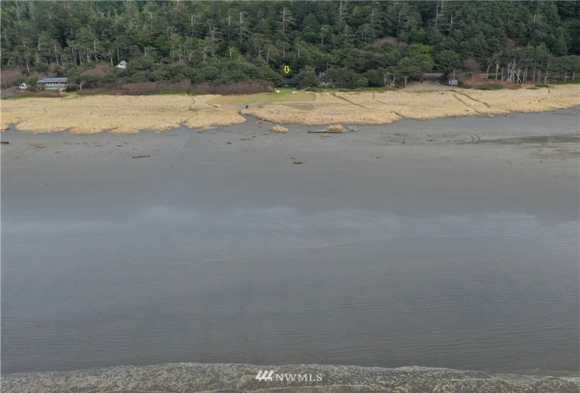 2 Cedar, Pacific Beach, Washington 98571, 3 Bedrooms Bedrooms, ,2 BathroomsBathrooms,Residential,For Sale,Cedar,NWM1869882