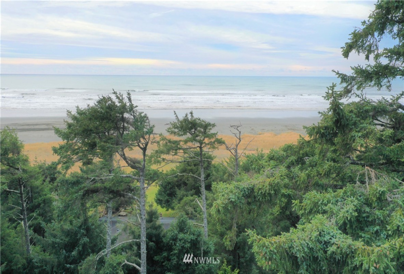2 Cedar, Pacific Beach, Washington 98571, 3 Bedrooms Bedrooms, ,2 BathroomsBathrooms,Residential,For Sale,Cedar,NWM1869882