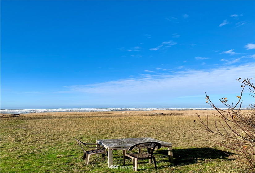 2 Cedar, Pacific Beach, Washington 98571, 3 Bedrooms Bedrooms, ,2 BathroomsBathrooms,Residential,For Sale,Cedar,NWM1869882