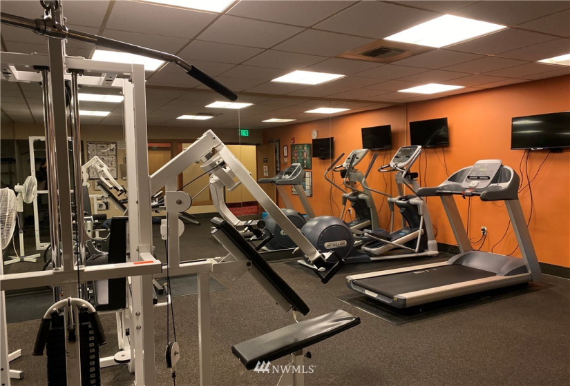 668 Lane, Seattle, Washington 98104, ,1 BathroomBathrooms,Residential Lease,For Rent,Lane,NWM1870383