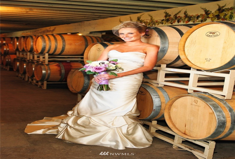 1 Vineyard, Wenatchee, Washington 98801, ,Commercial Sale,For Sale,Vineyard,NWM1870073