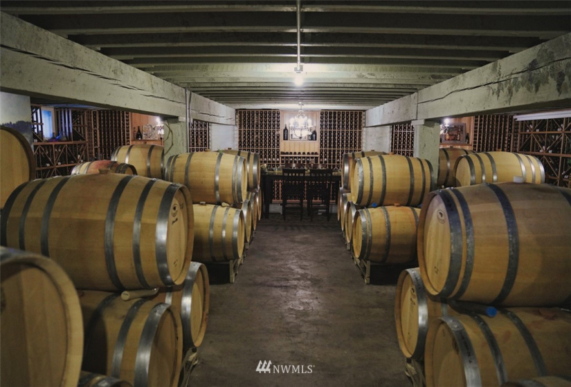 1 Vineyard, Wenatchee, Washington 98801, ,Commercial Sale,For Sale,Vineyard,NWM1870073